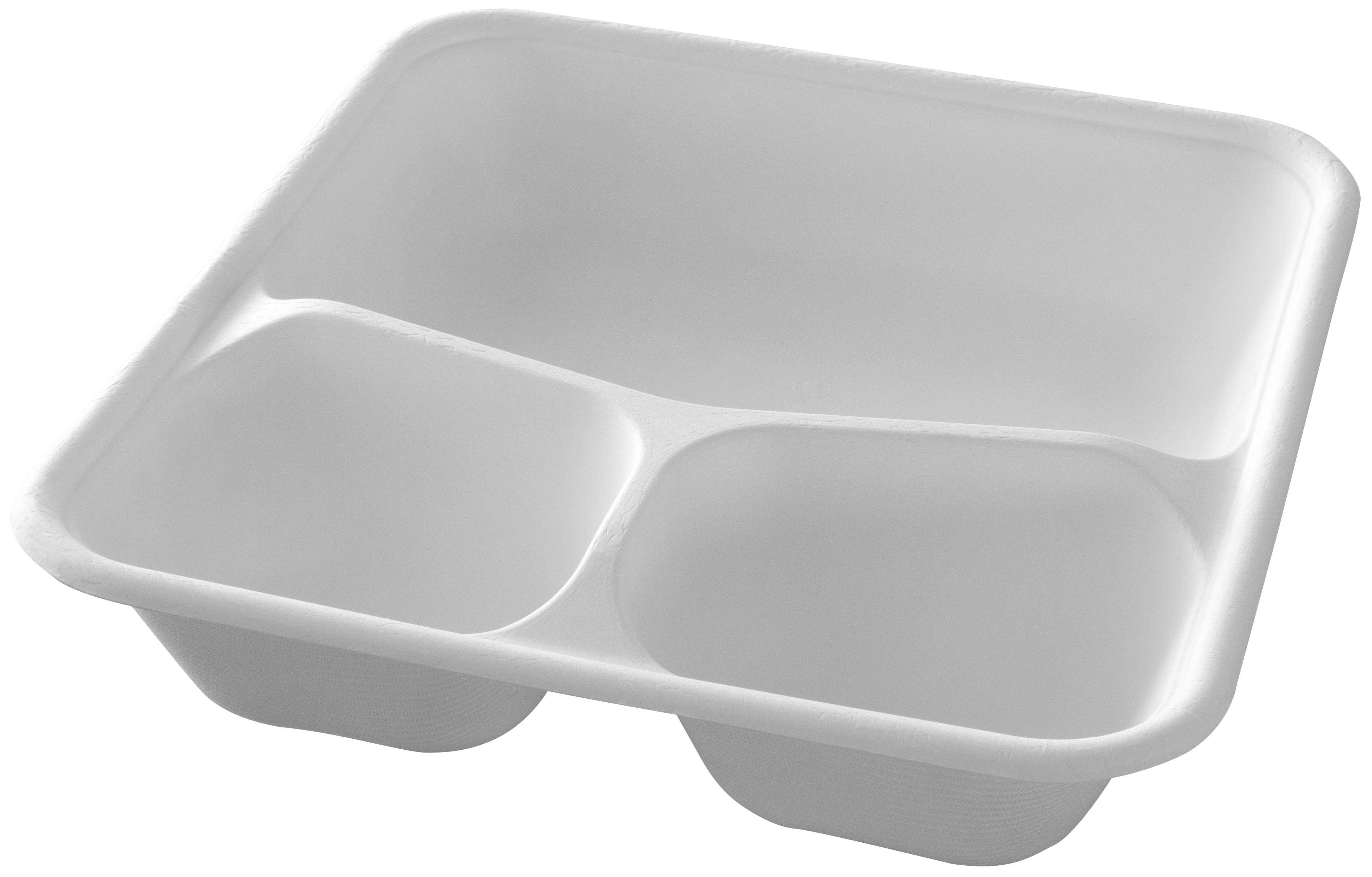 Square bagasse container with 3 compartments - 230x230x55mm