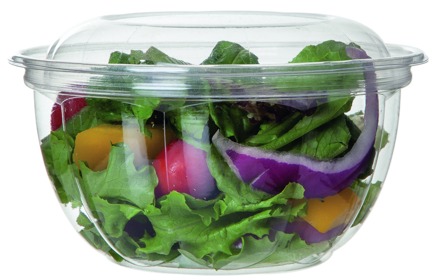 Salad bowl with lid - 530ml / 18oz
