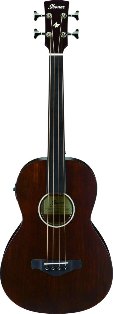 ibanez parlor bass fretless