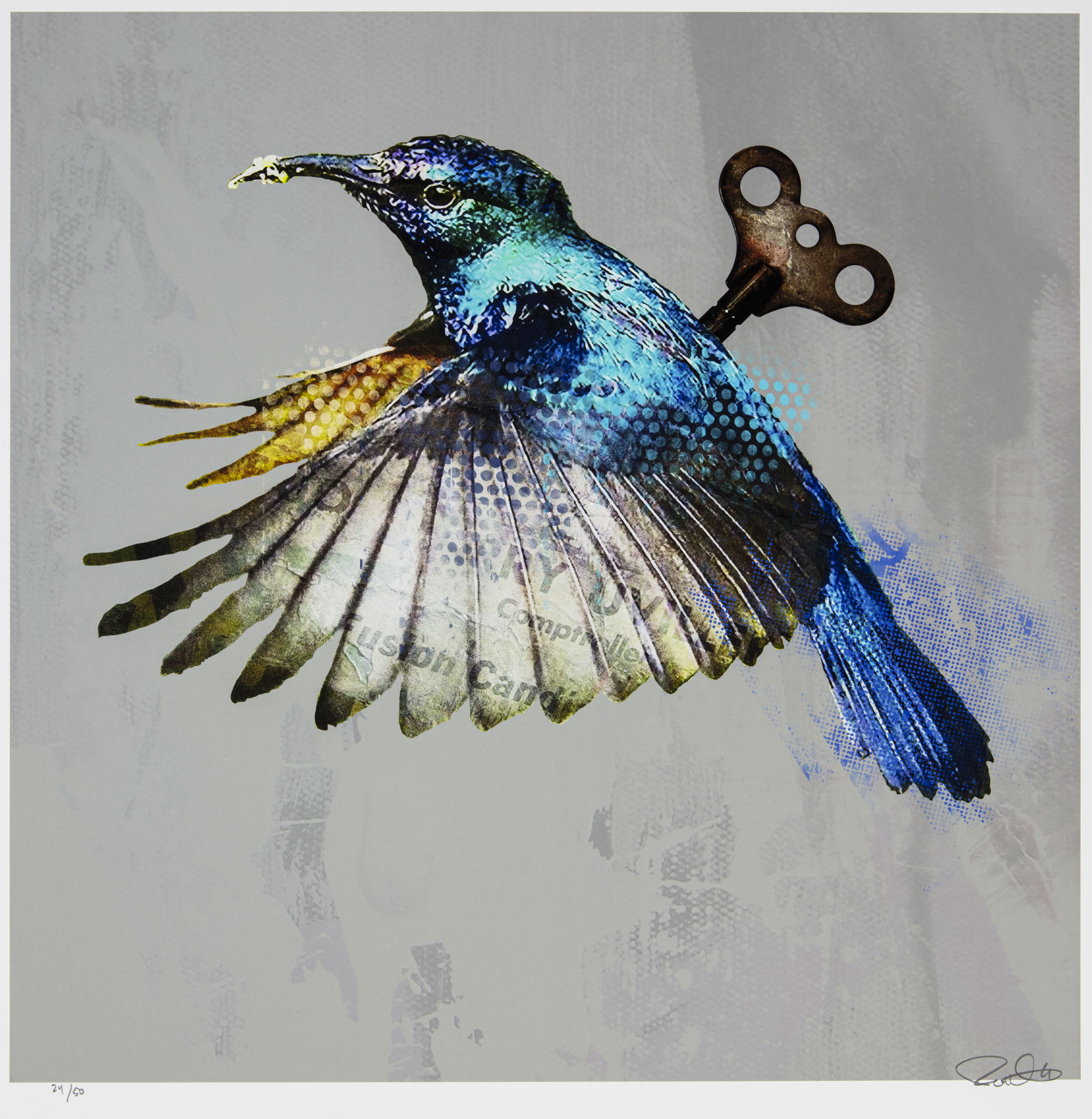 Hummingbird - 2