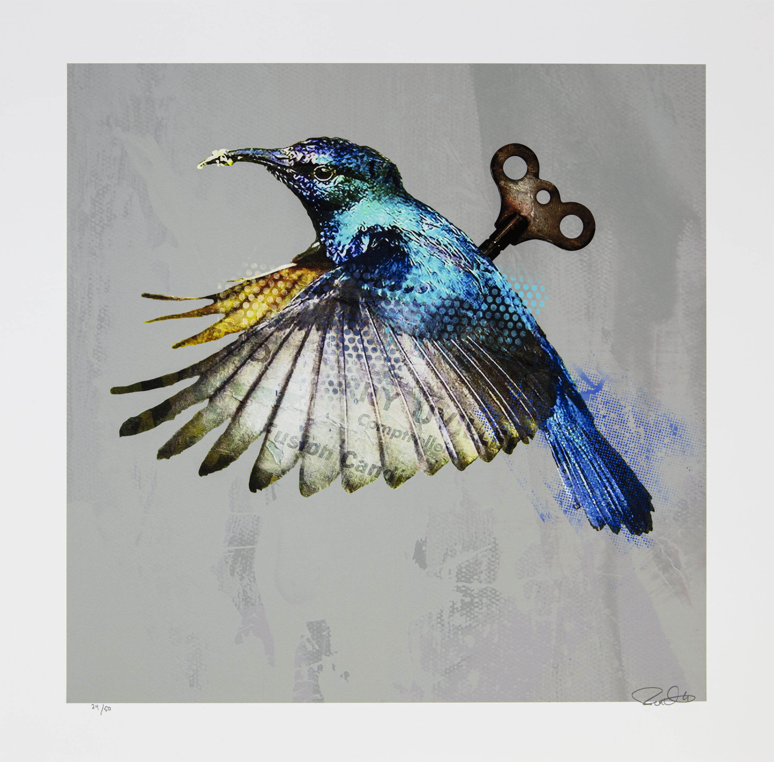 Hummingbird