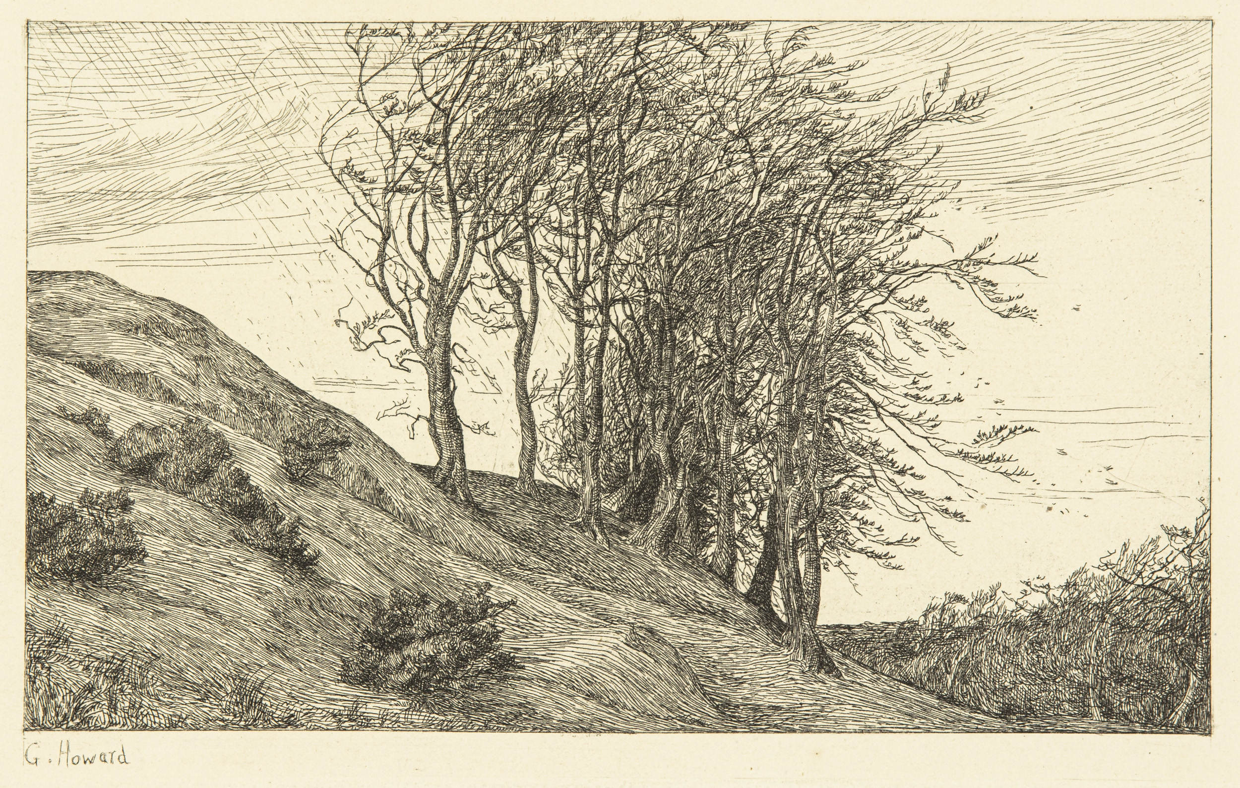 Etching - Nature Motif - 2