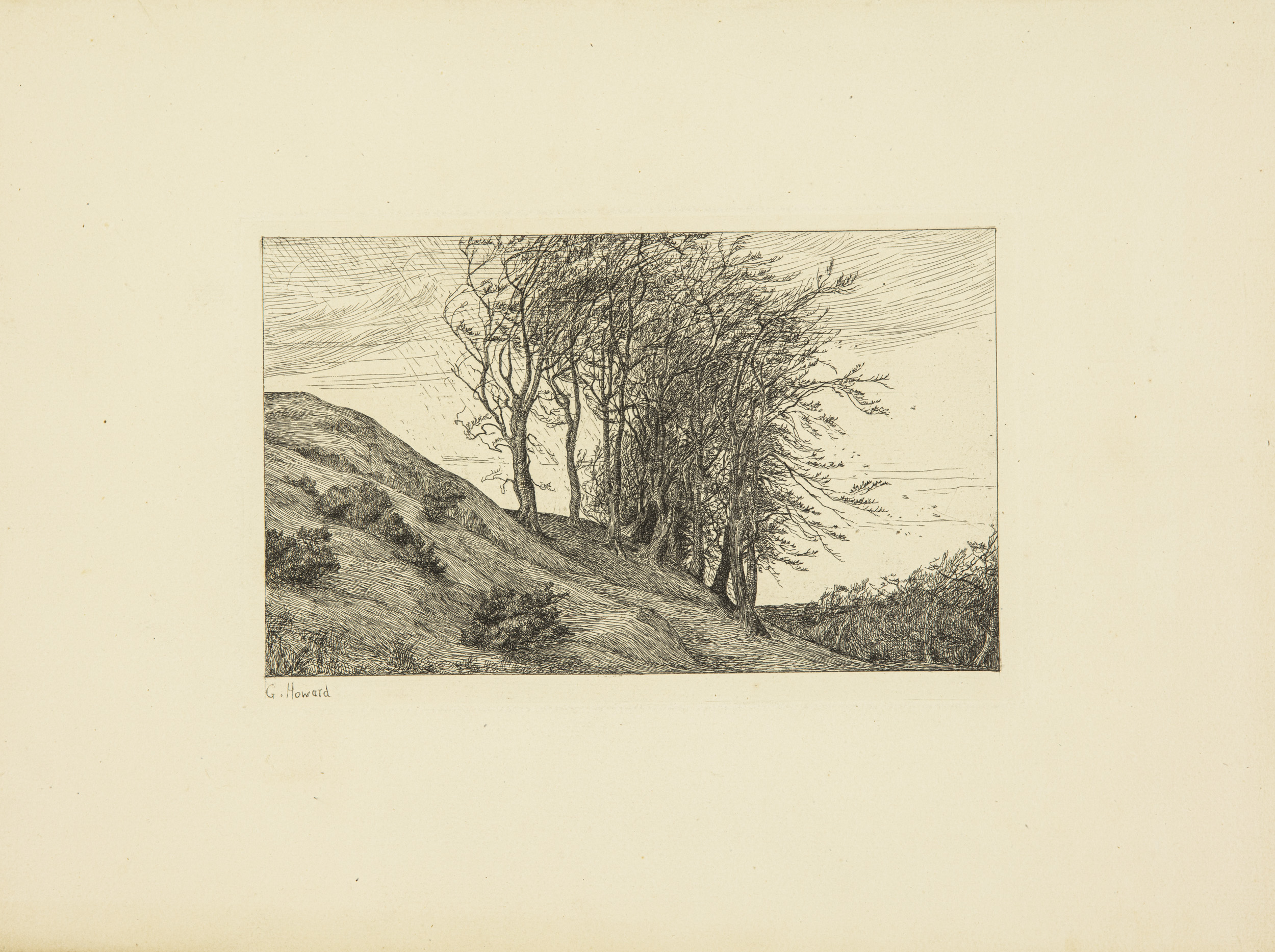 Etching - Nature Motif