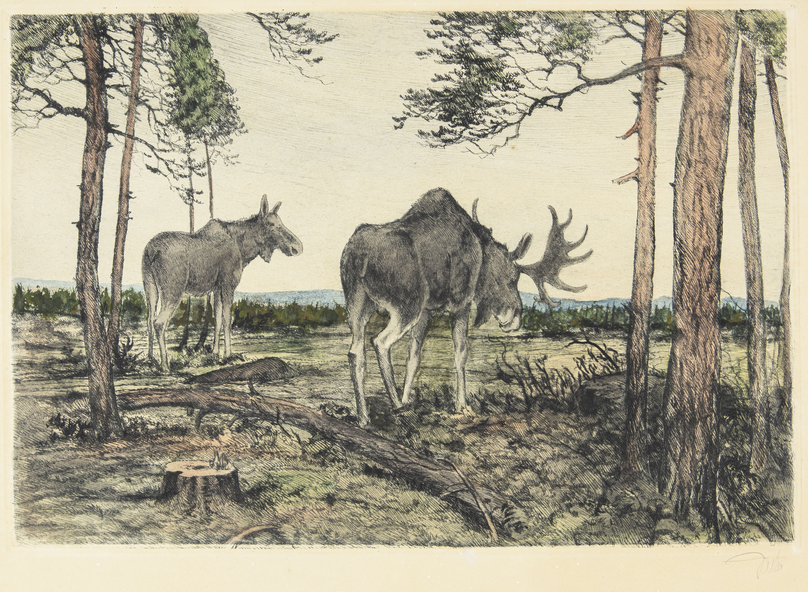 Moose - Hand Colored Etching - 2
