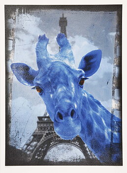 Holiday (Blue)