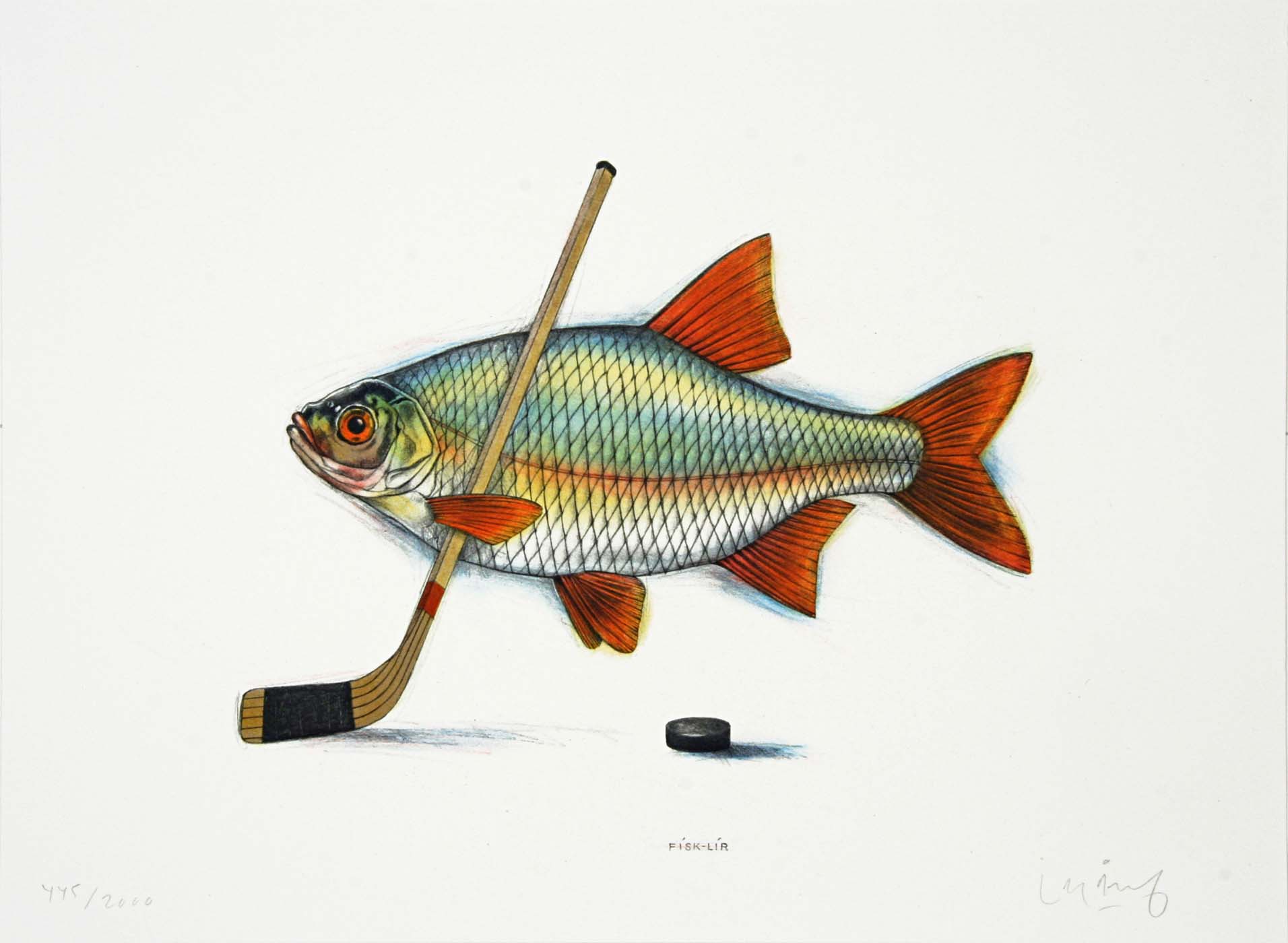 Fisk-lir (swedish title) - Åbergs Natural Science