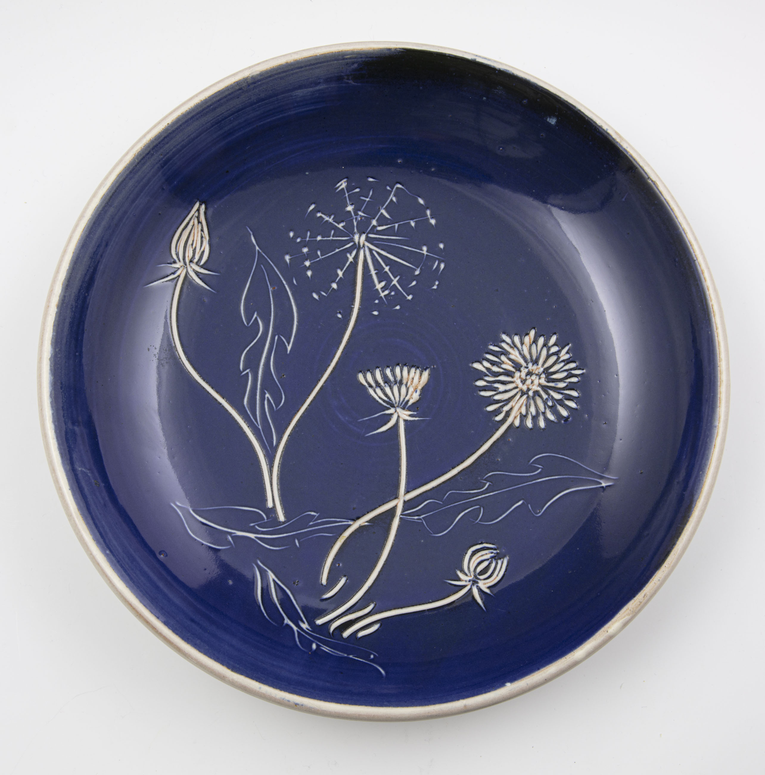 Plate No 101