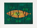 Eye fish - The Halmstad group 45 years