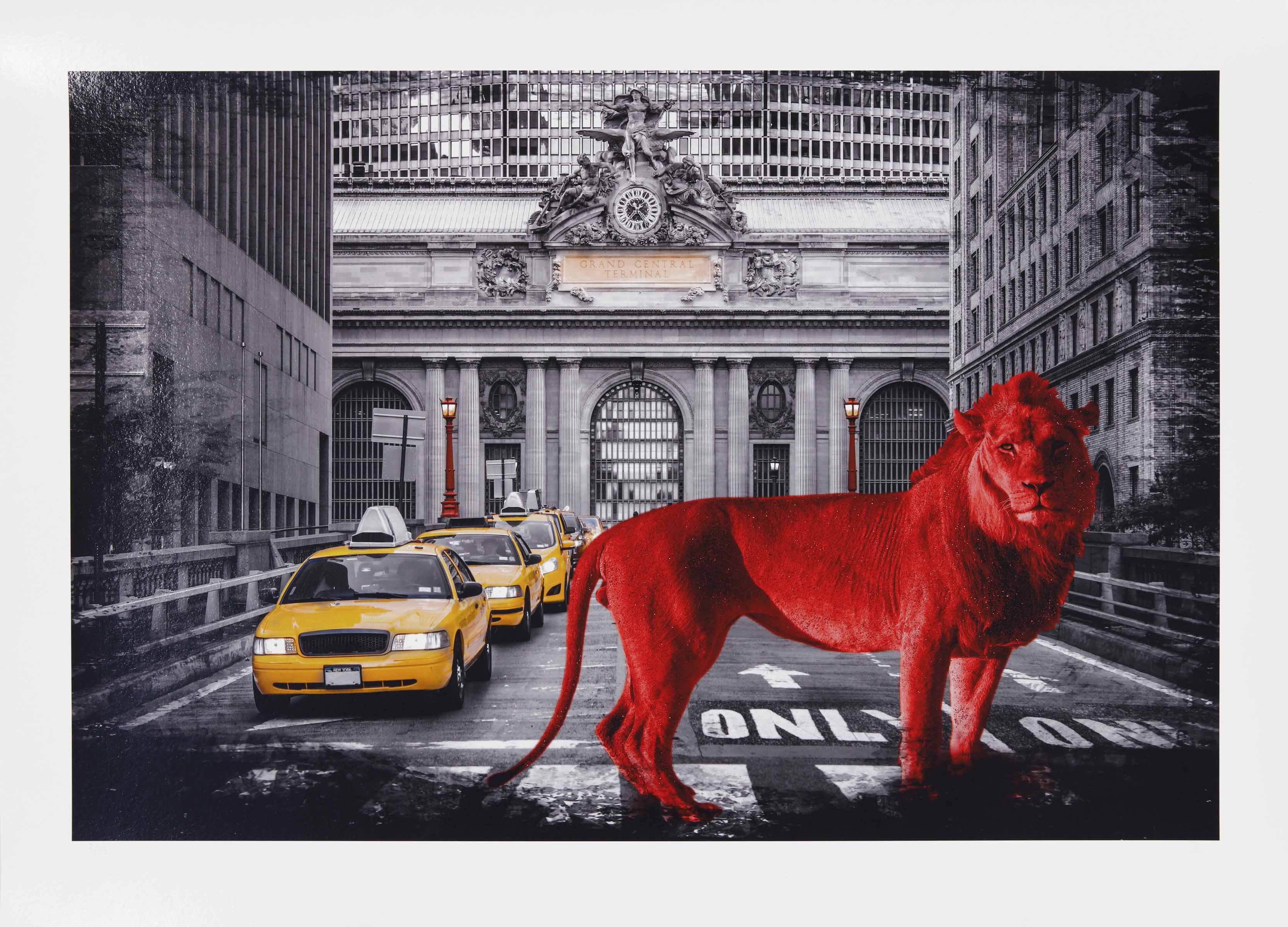 Red King in Big Apple