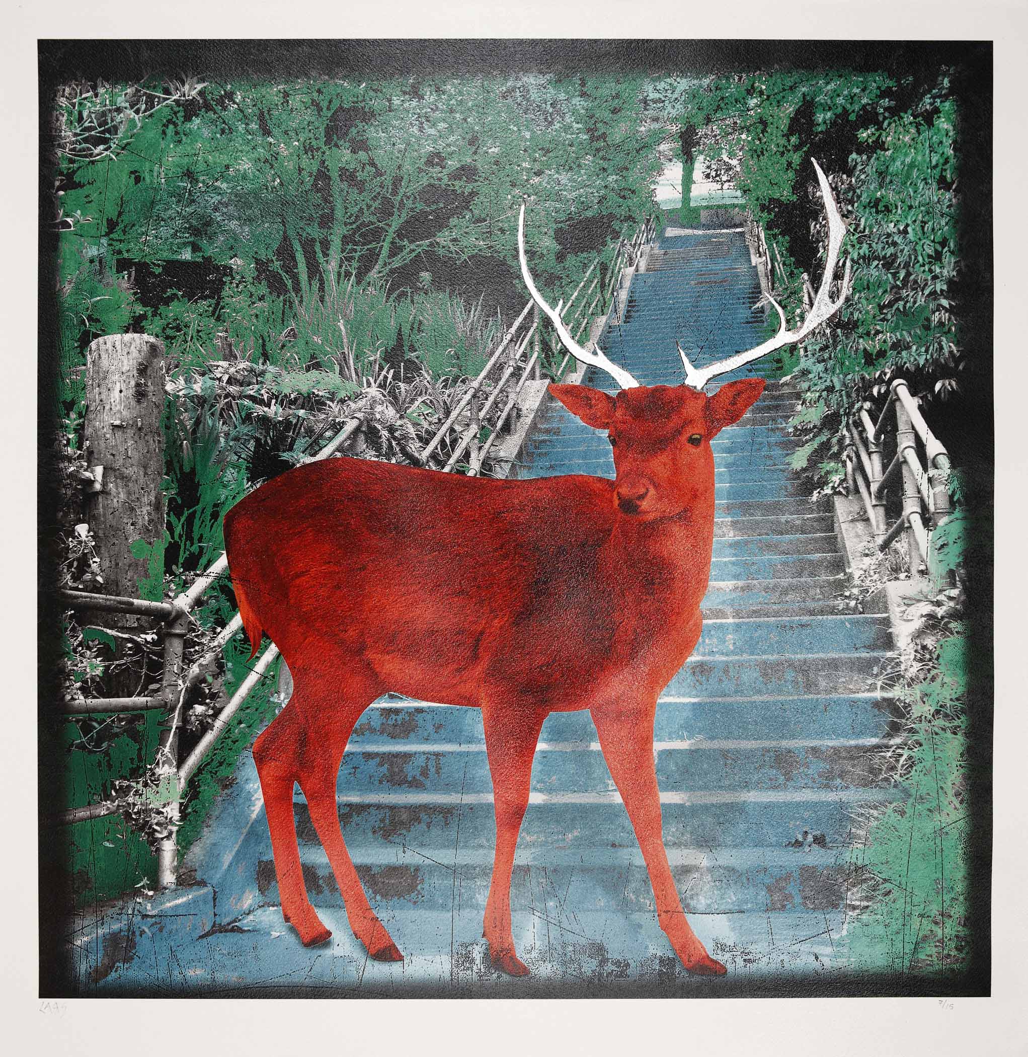 My Deer Friend