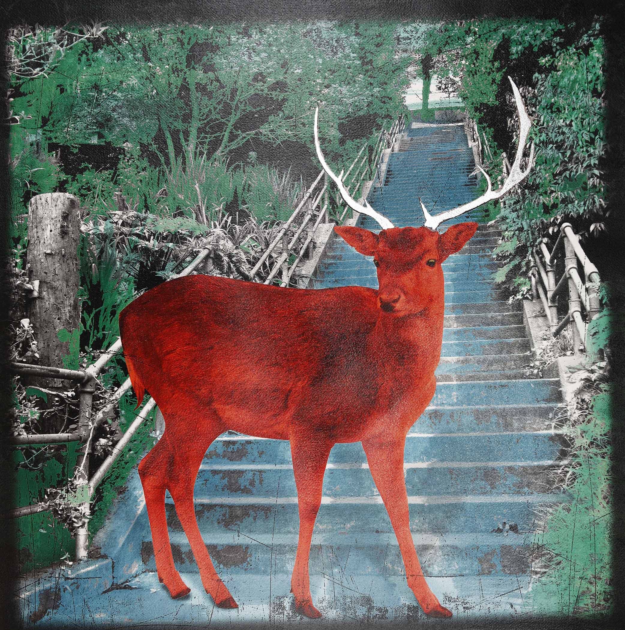 My Deer Friend - 2