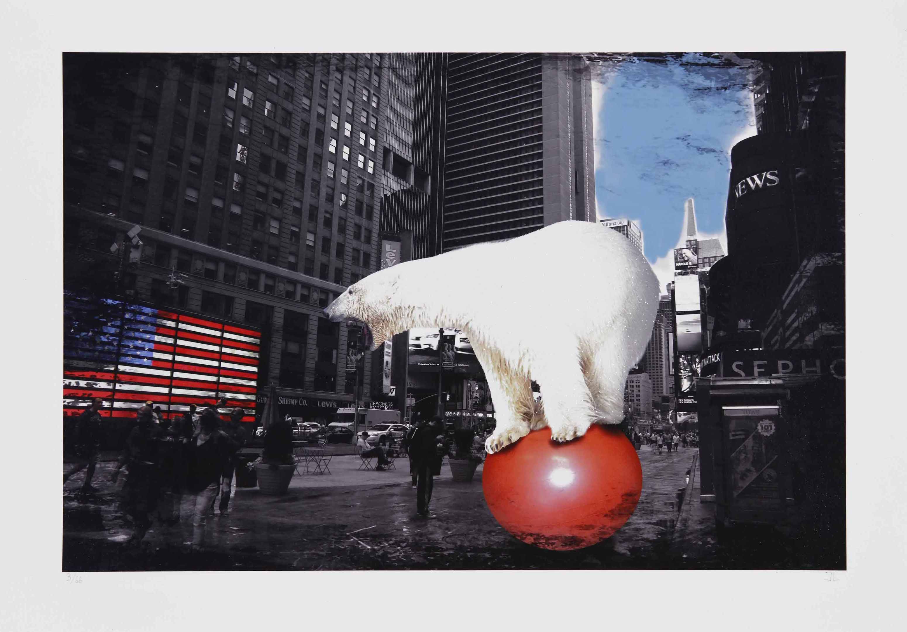 A Polar Bear in NY