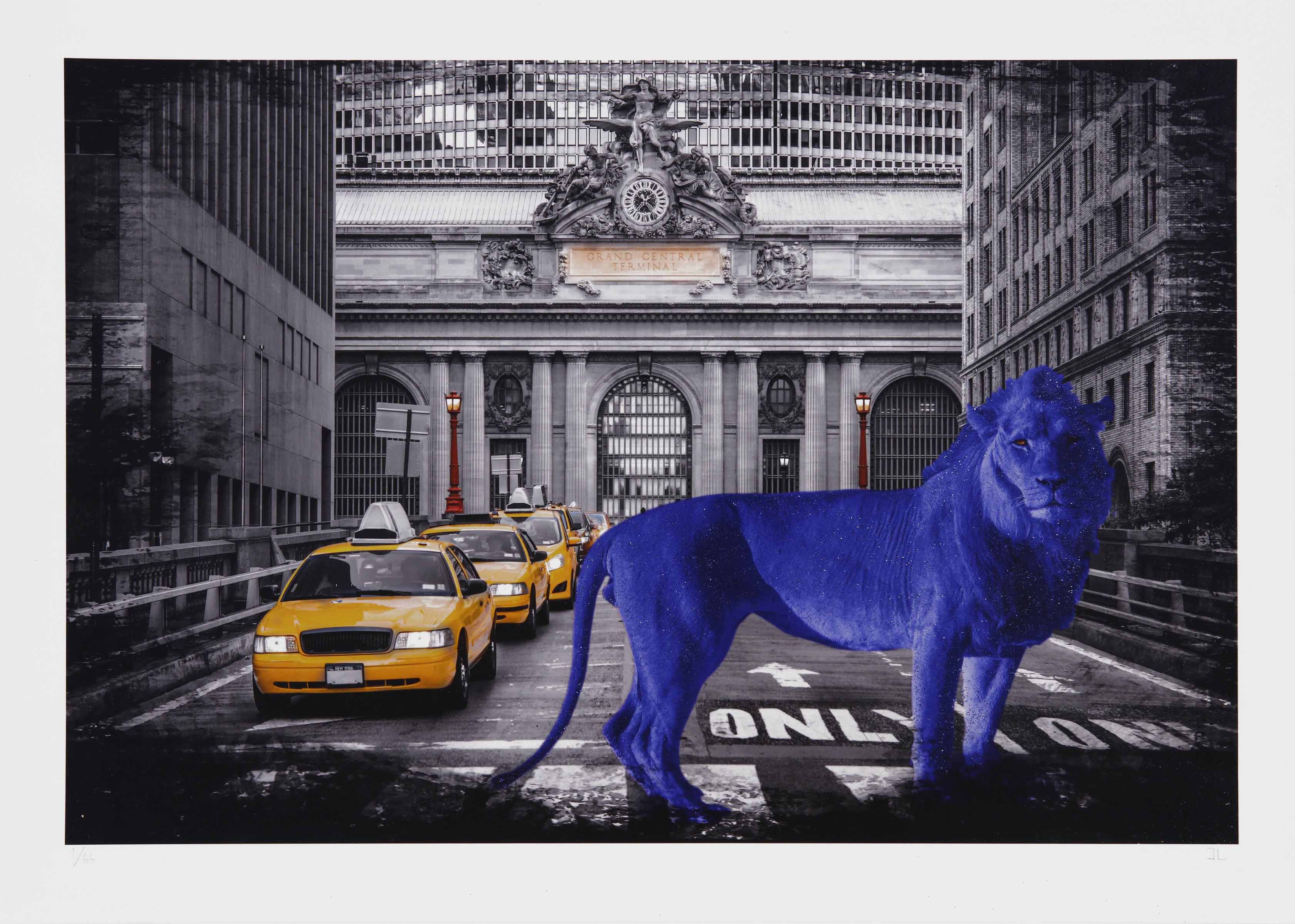 Blue King in Big Apple