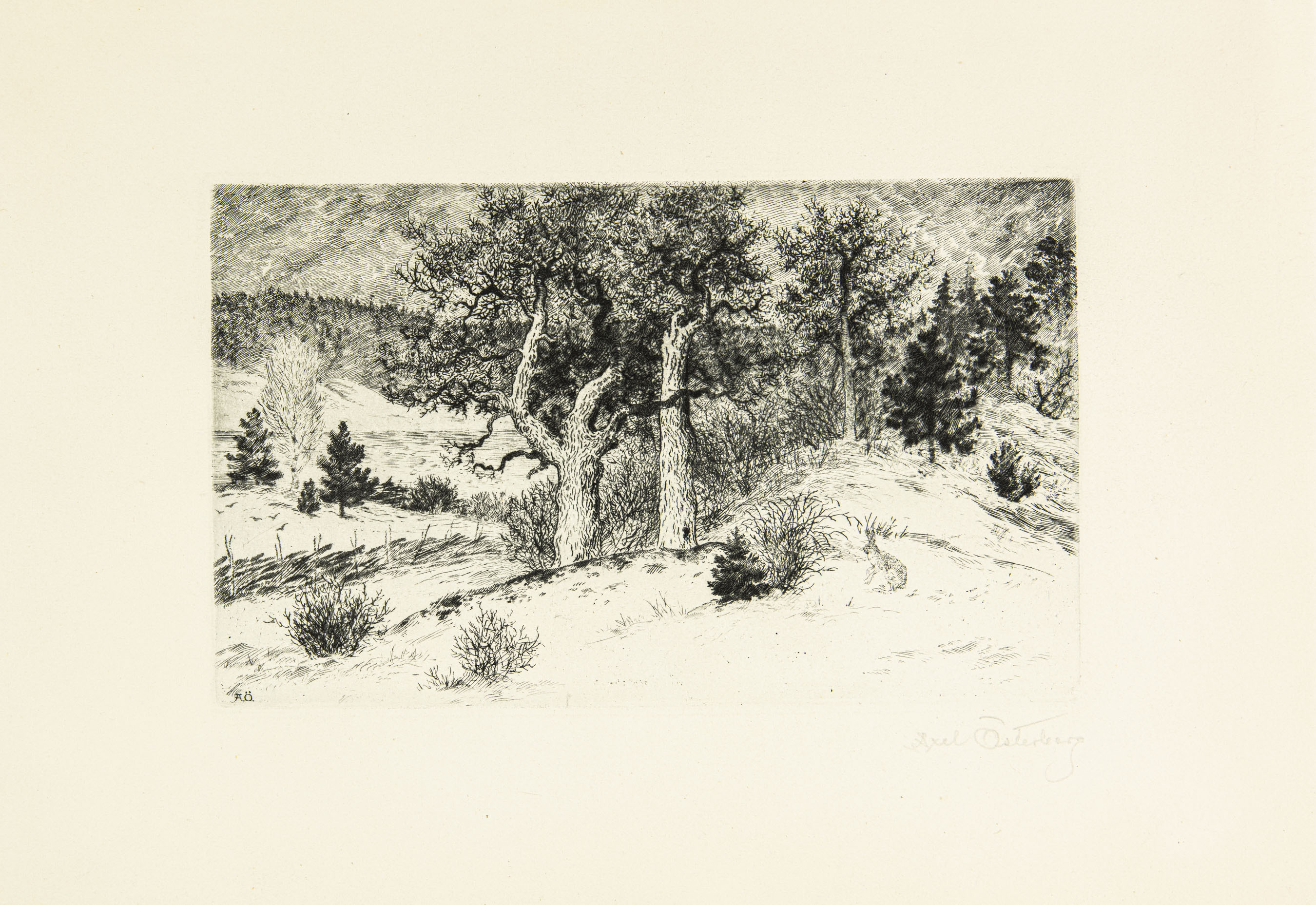 Nature motif 
