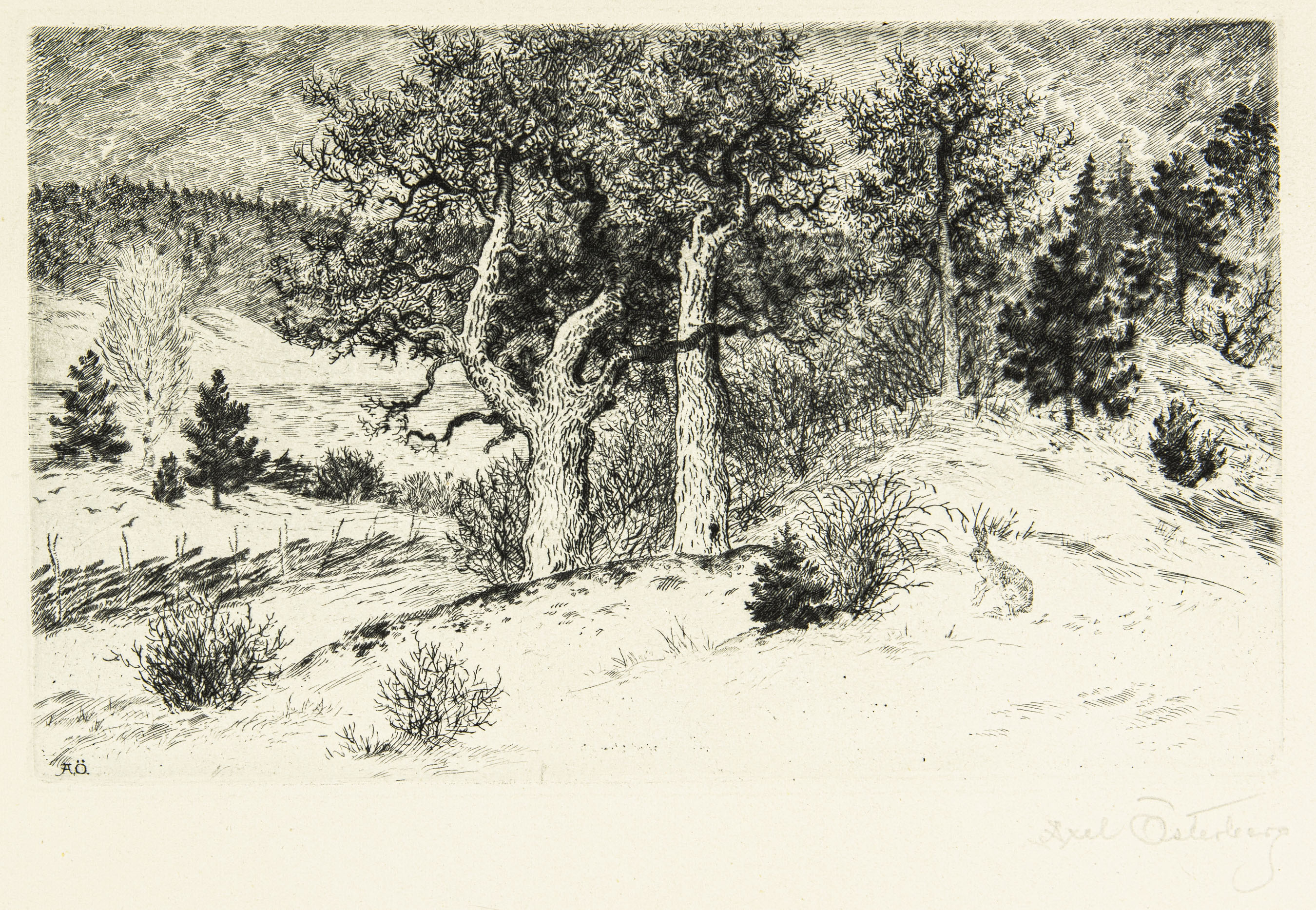 Nature motif  - 2