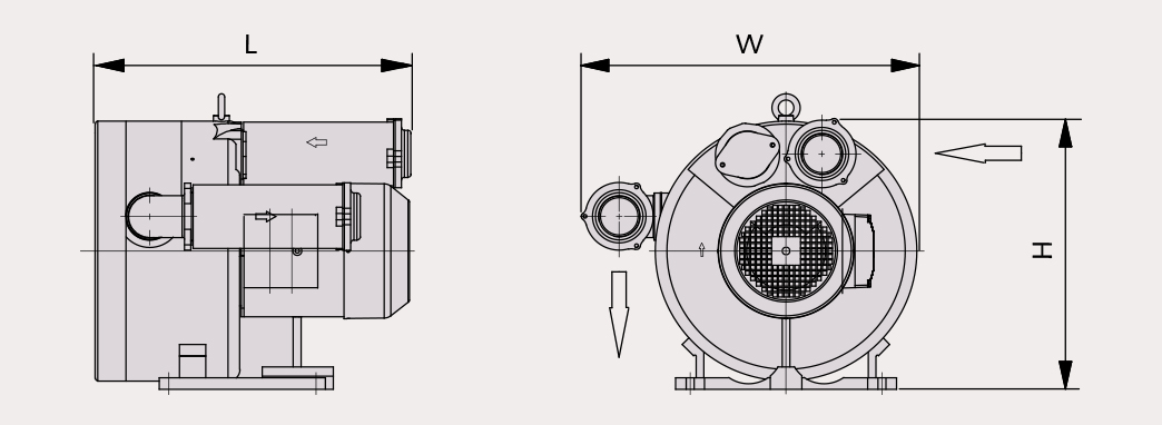 Busch SB 0310D2 4,3 Kw - 2