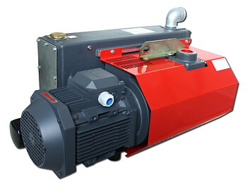 OLV 65