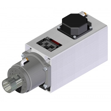 Spindelmotor ER32-5.5 KW Dammskyddad 12000 - 24000 rpm