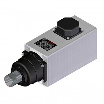Spindelmotor ER32-3.0 KW 6000 - 9000 rpm