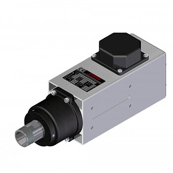 Electro motorer