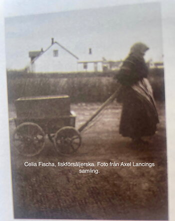 Skillinge handledsvarmare, färg Segel