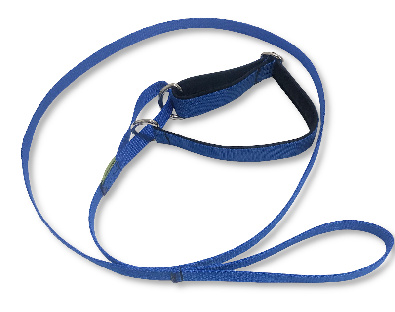Agilitykoppel - halsband & koppel i ett! - 2