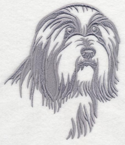Bearded collie - Brodyr 45