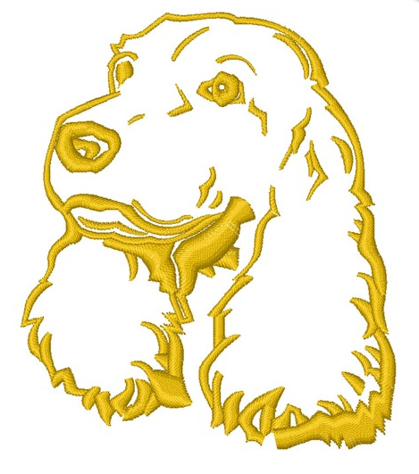 Cocker spaniel - Brodyr 22