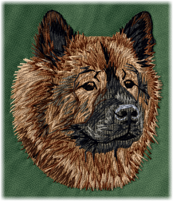Eurasier - Brodyr 47