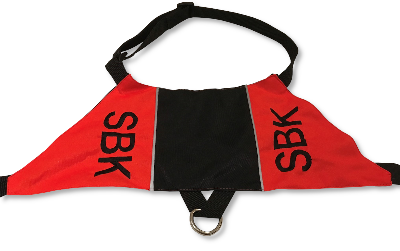 Tjänstetecken SBK SÖK - lager - 2