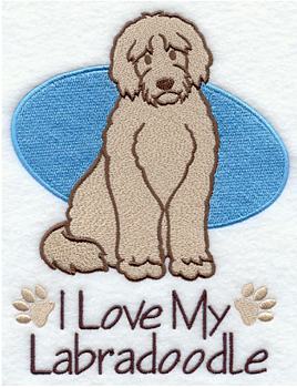 Labradoodle, goldendoodle, doodle - Brodyr 3