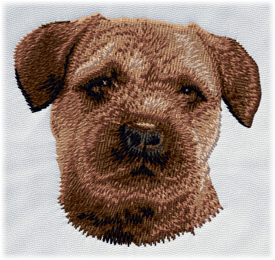 Borderterrier, Border terrier - Brodyr 154