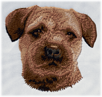 Borderterrier, Border terrier - Brodyr 154