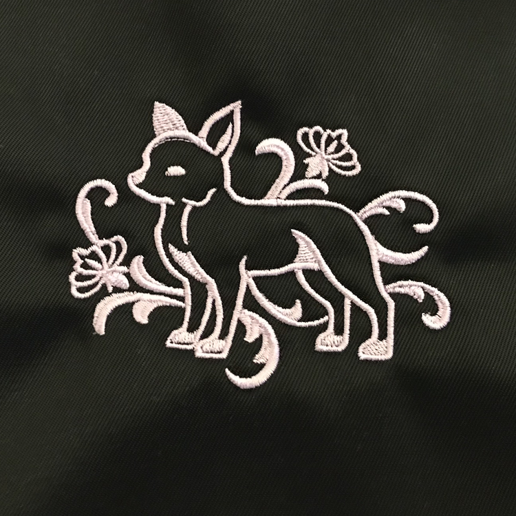 Chihuahua - Brodyr 1