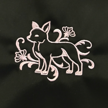 Chihuahua - Brodyr 1