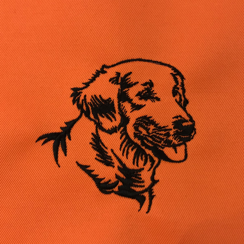 Golden retriever - Brodyr 2