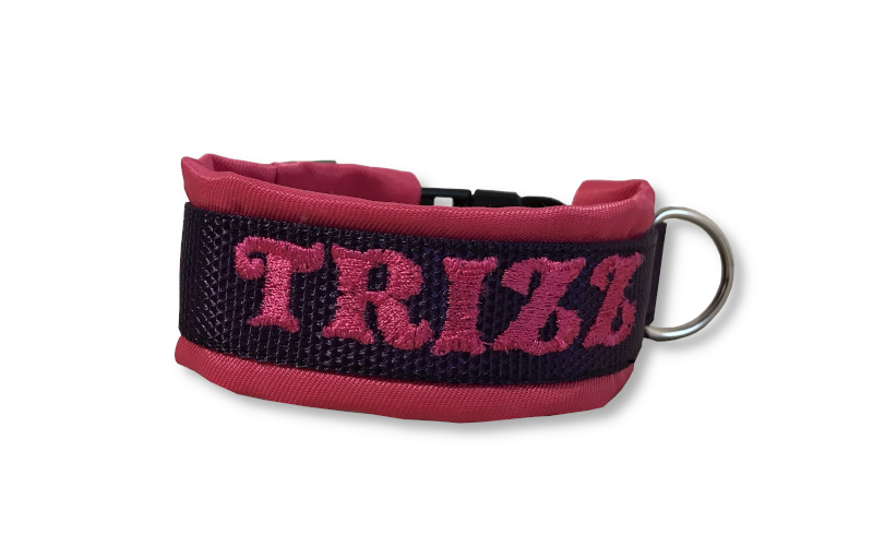 Broderat halsband med tygfoder - 4