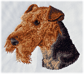 Airedaleterrier - Brodyr 12