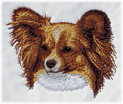 Papillon - Brodyr 14