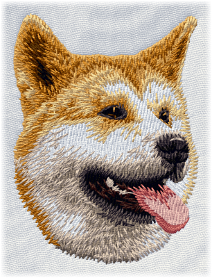 Akita inu, Japansk Akita - Brodyr 16