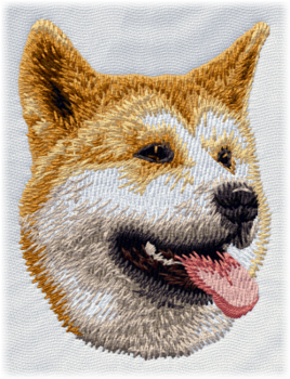 Akita inu, Japansk Akita - Brodyr 16