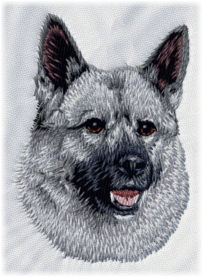 Norsk Älghund, Gråhund - Brodyr 18