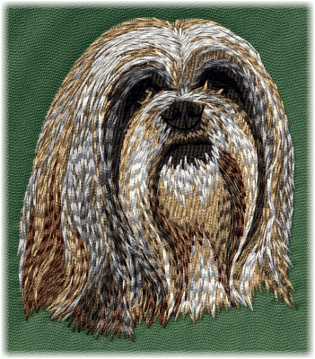 Lhasa apso - Brodyr 31