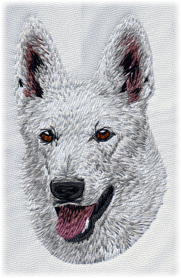 Vit herdehund - Brodyr 37