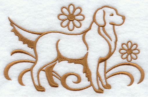 Golden retriever - Brodyr 95