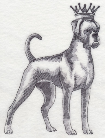 Boxer i krona - Brodyr 25