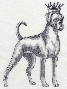 Boxer i krona - Brodyr 25