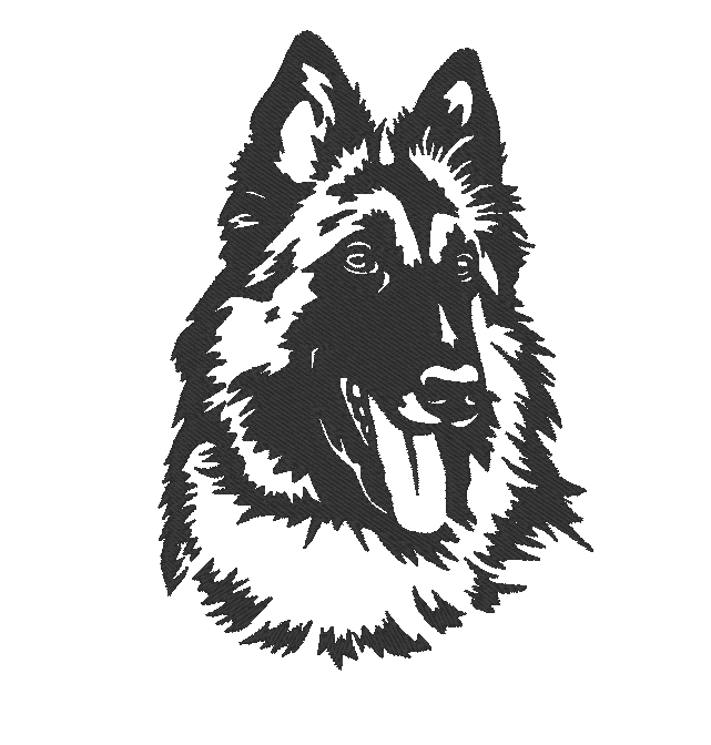 Belgisk vallhund tervueren - Brodyr 96