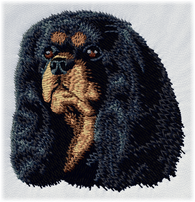 Cavalier king charles spaniel - Brodyr 74