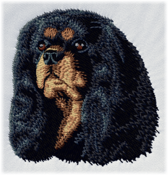Cavalier king charles spaniel - Brodyr 74